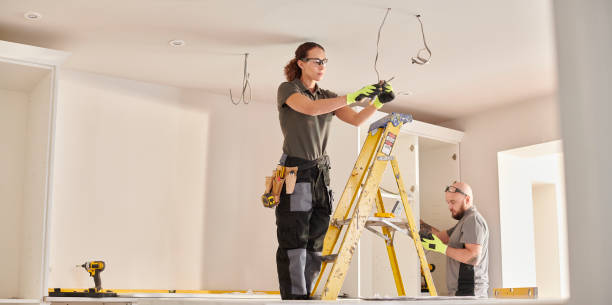 Best Electrical System Inspection  in Redwood Falls, MN
